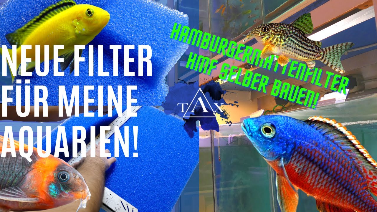 Neue Filter für meine Aquarien I TAX