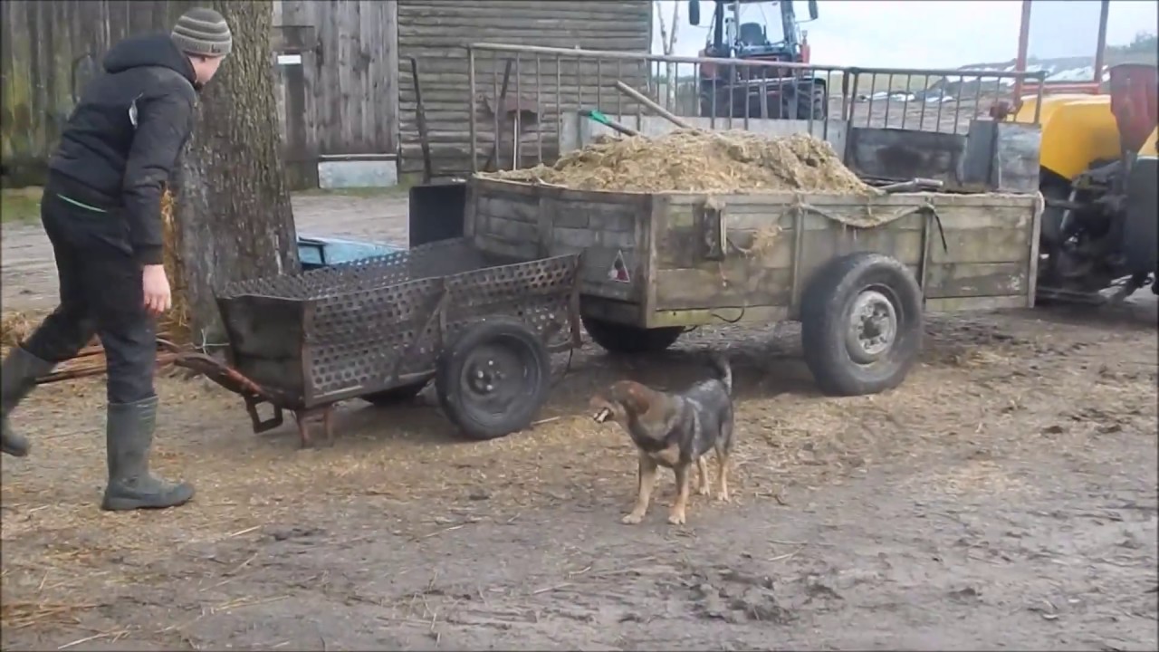 Codzienne Obowiązki   ,,U Pana Adama,, #2
