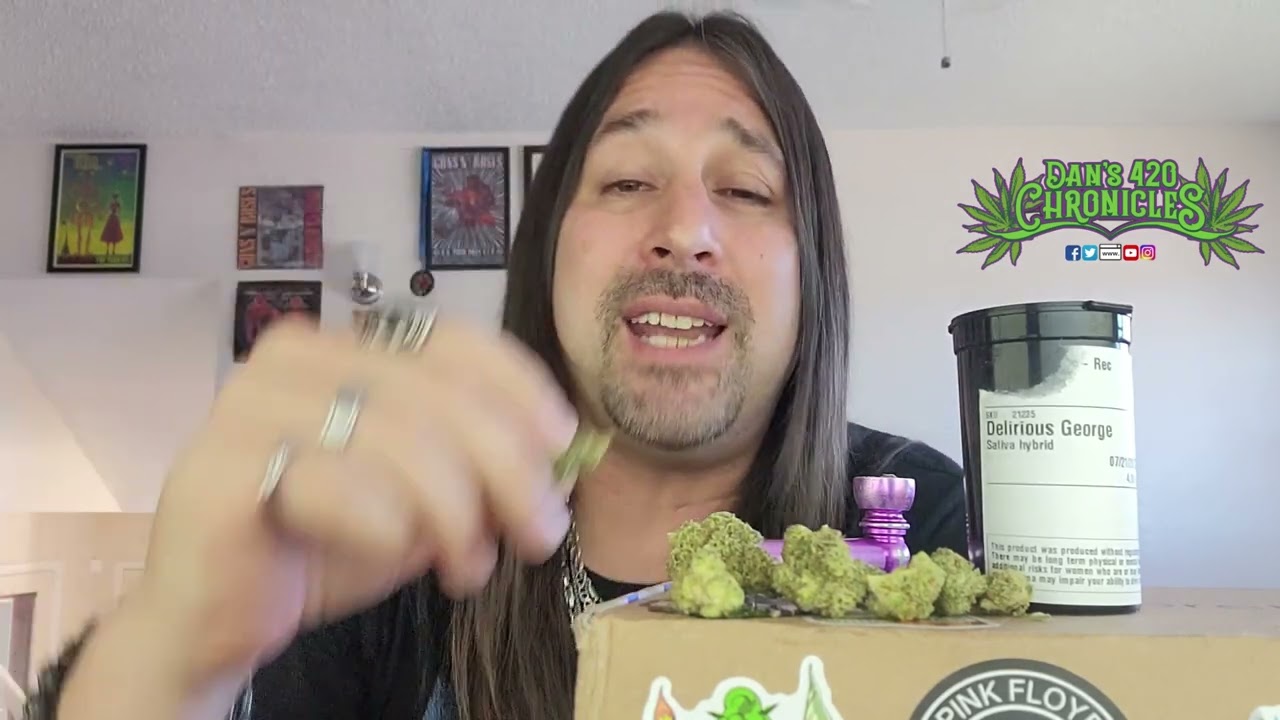 Dan's 420 - Delirious George / Weed Review 8/4/23
