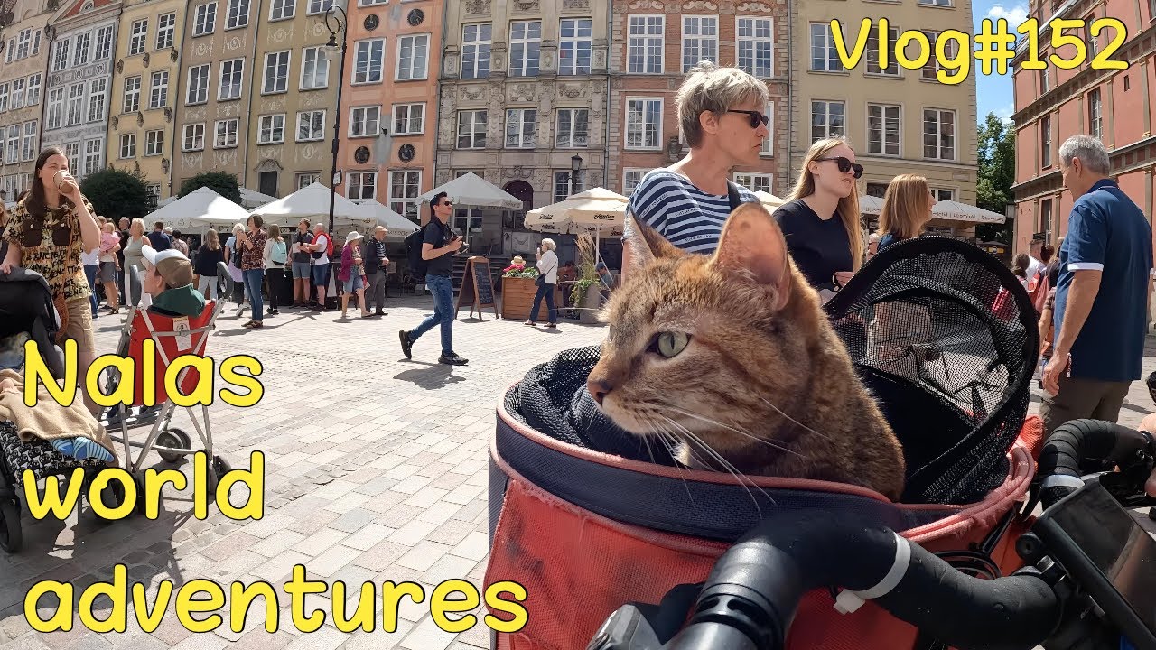 Exploring GDANSK 😻🇵🇱 #152