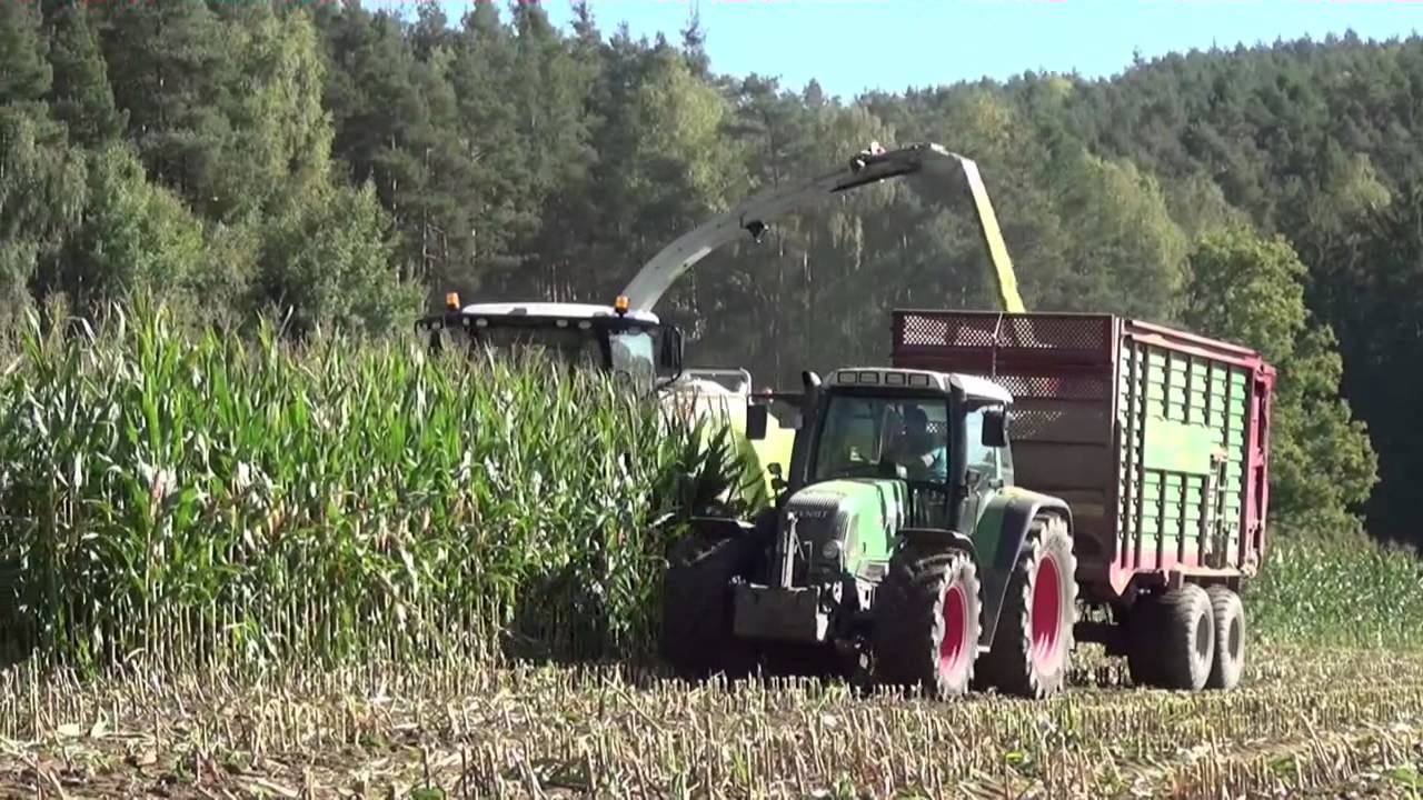 Maishäckseln mit Claas Jaguar 860 (neue 800er Baureihe), Orbis 600
