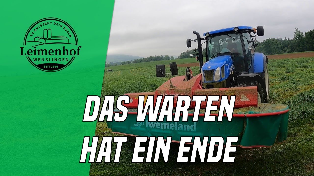 Start in den ersten Schnitt  -  So entsteht dein Essen #190