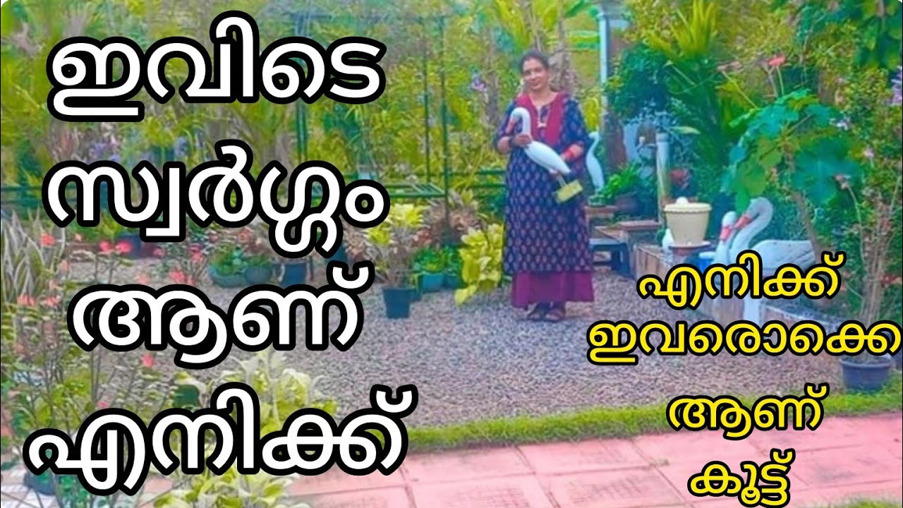 ഈ കൊച്ചു വീട്ടിൽ ഇതൊക്കെ ആണ് ഉള്ളത് /@SUPRIYA VLOGZ 🥰