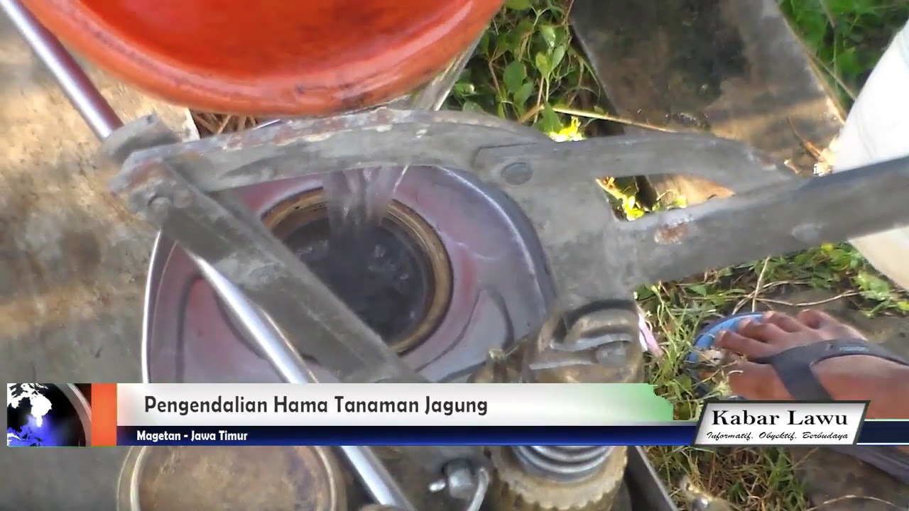 LAWU TV - Magetan | Warga Masyarakat Tani Kedungguwo Terbantu atas Bantuan Dinas TPHPKP