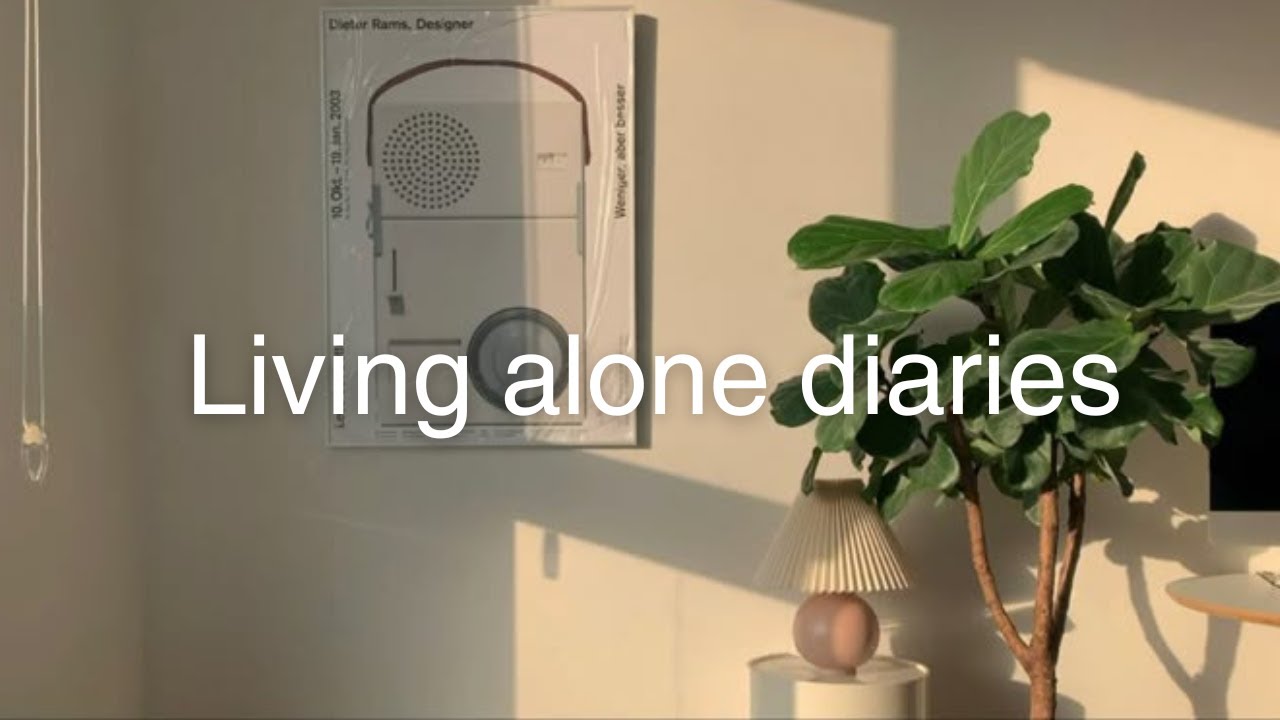 Living Alone Diaries : From Tripura to Pune | stomach upset, trying instant momos , slow days