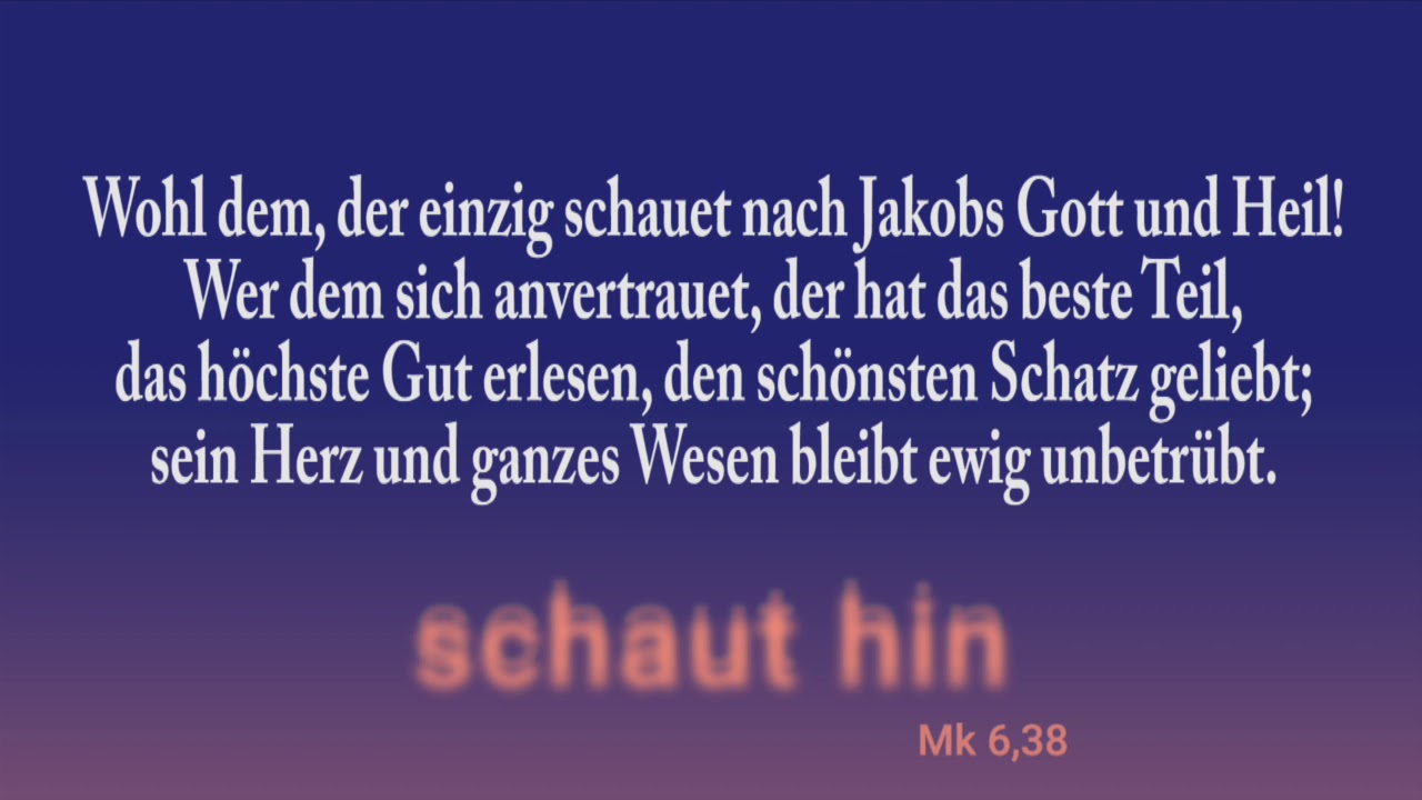 Du meine Seele singe - Orgelbegleitung