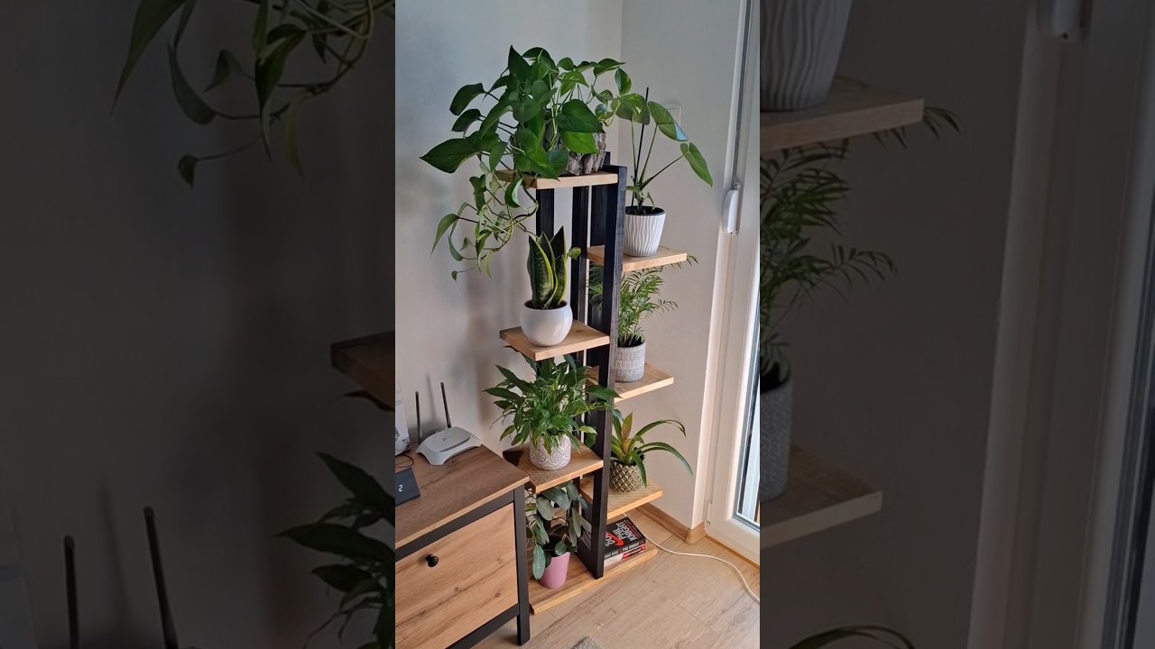 DIY Plant Shelf easy to build