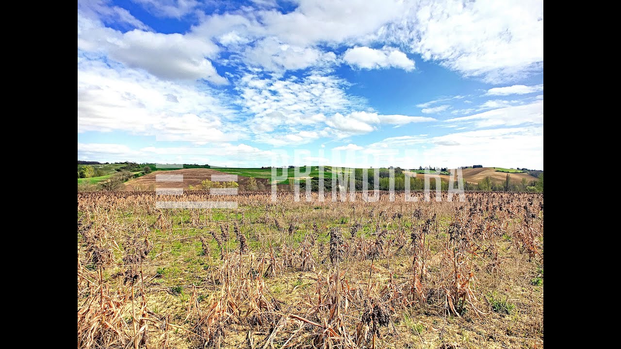 TARN &ndash; 57HA DE FONCIER AVEC LAC ET DPB