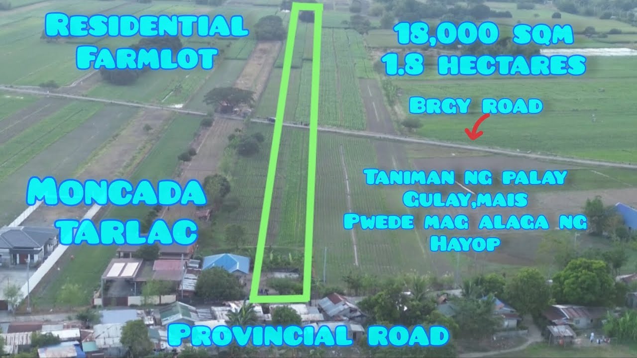 Lot#752 Residential farmlot along the road, taniman mg gulay,mais,palay, pwede mag alaga ng hayop. 