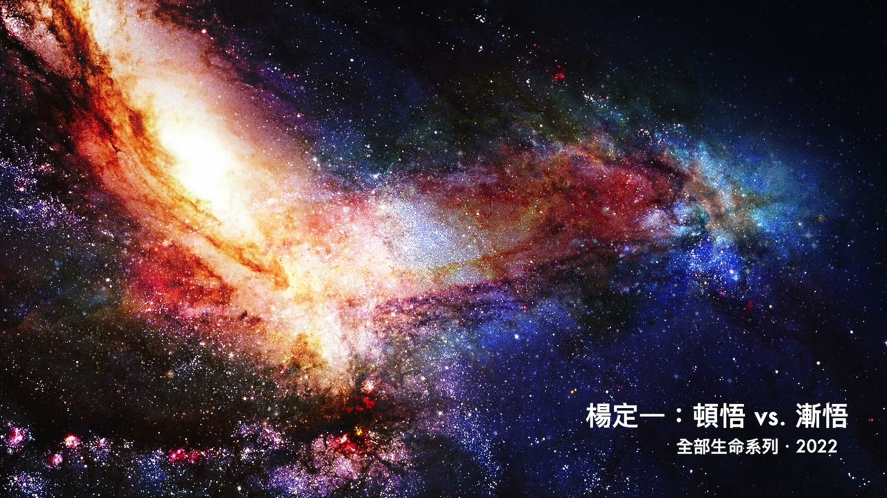 楊定一：頓悟 vs. 漸悟