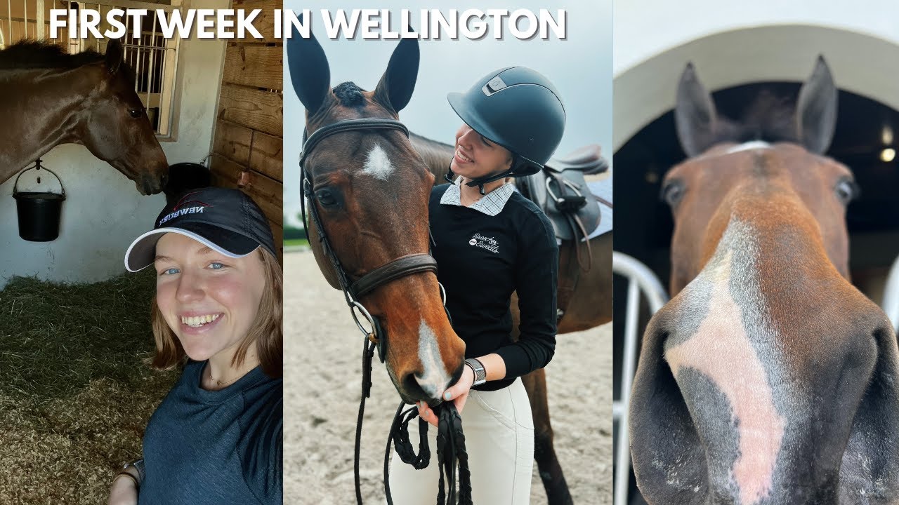 FIRST WEEKEND IN WELLINGTON + FLIGHT PROBLEMS?!