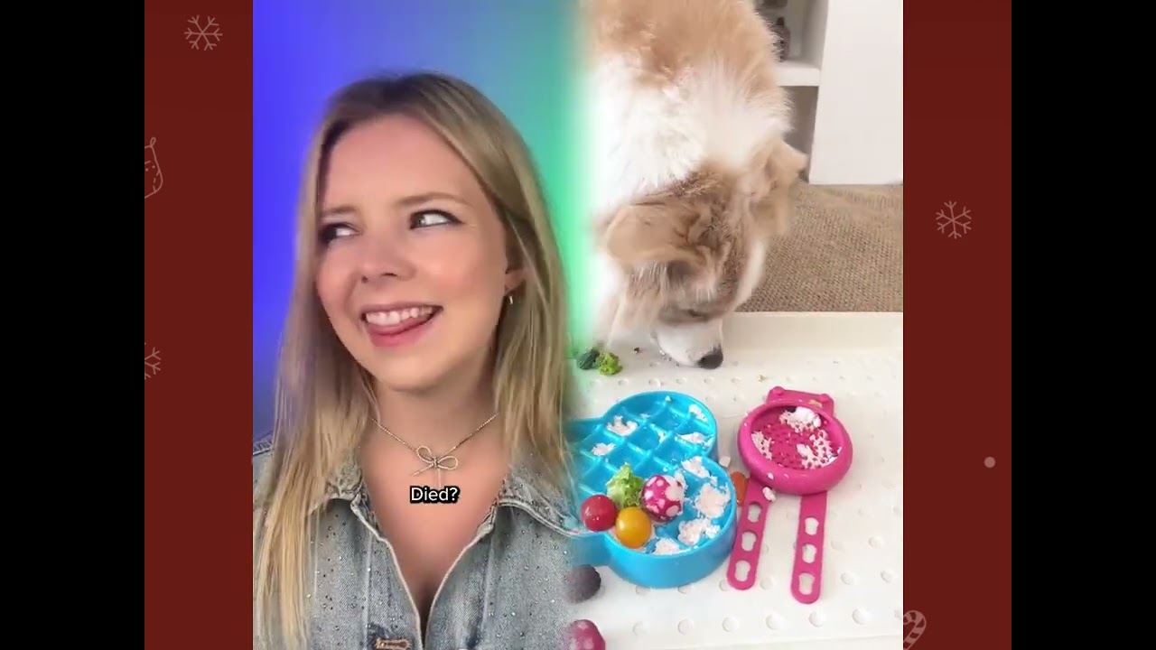 🤣👌👌👌2026 pov Must-Watch Crazy Clips Compilation #humor #fypシ #pov #fyp #foryou #funny 😍😜