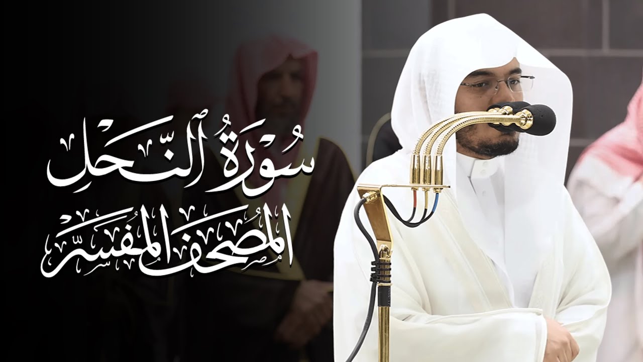 سورة النحل | ياسر الدوسري | المصحف المفسر 