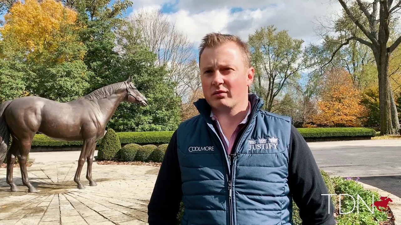 Justify the Star of the Show at Coolmore America