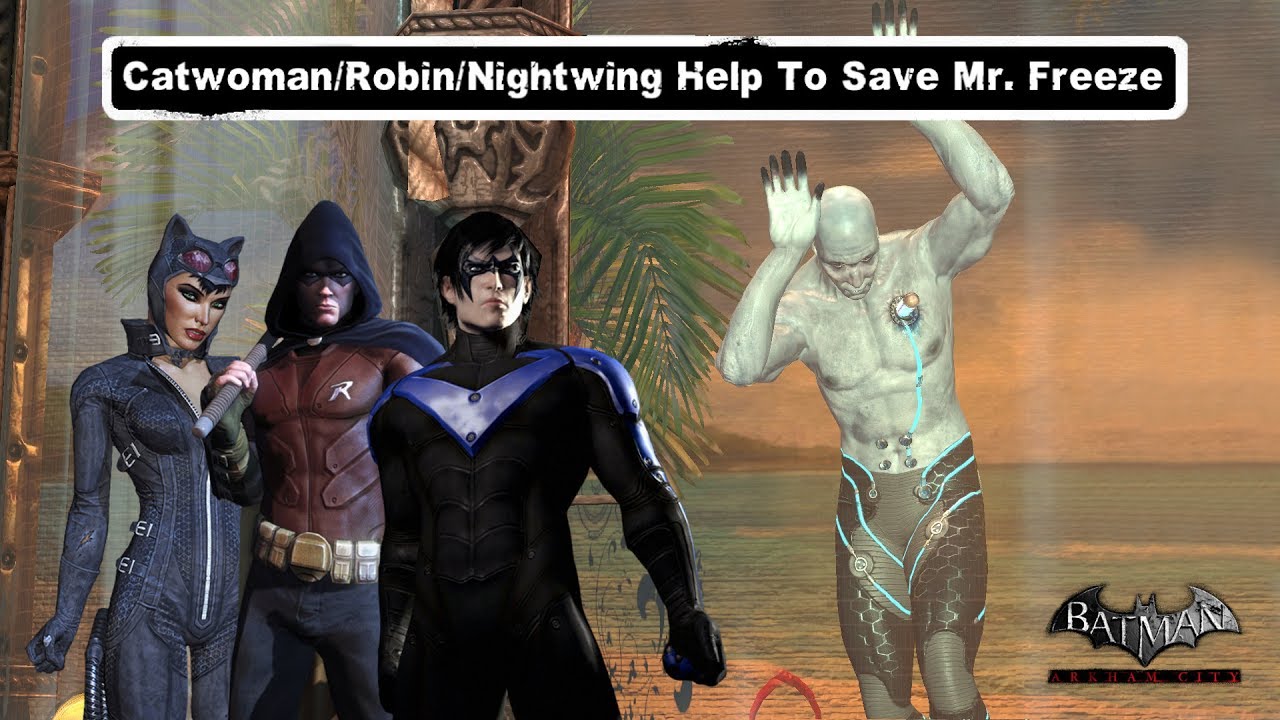 CHAR SWAPS; Batman; Arkham City; Catwoman/Robin/Nightwing Help save Mr Freeze