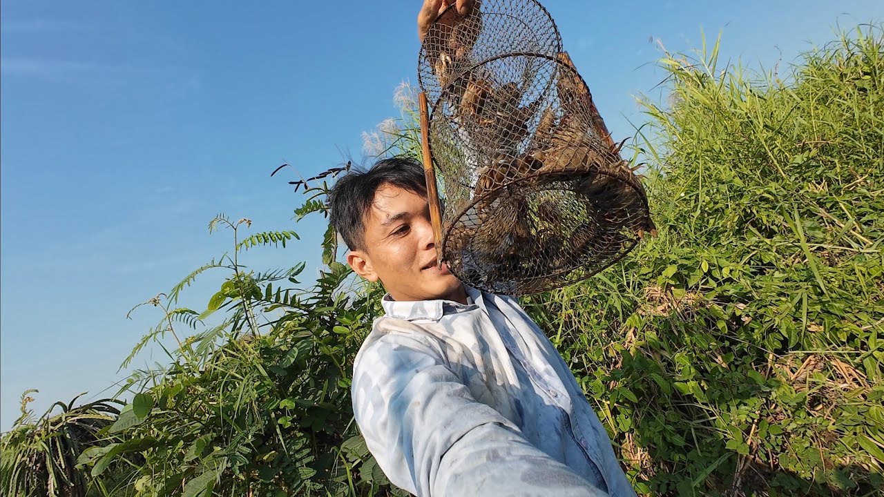 Bẫy cua đồng ngày kiếm 500k mùa Tết rất nhàn#bẫycuađồng 