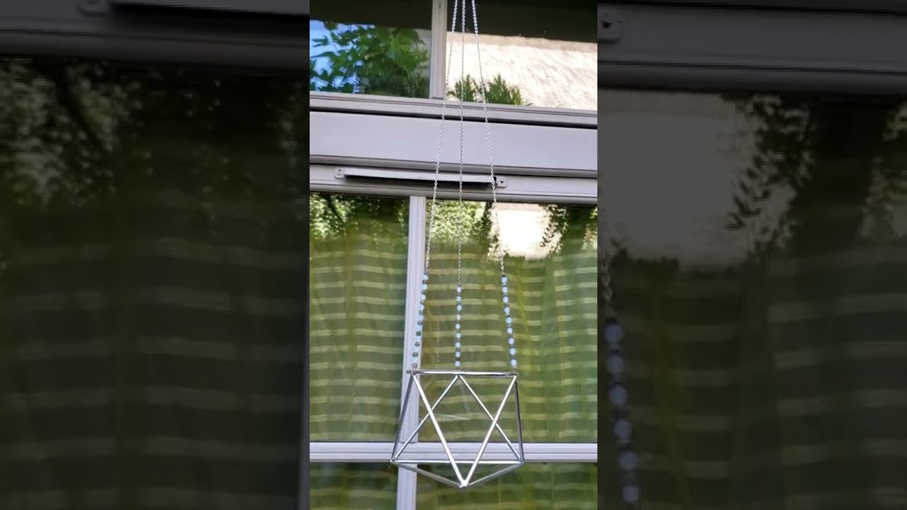 création support pour tillandsias