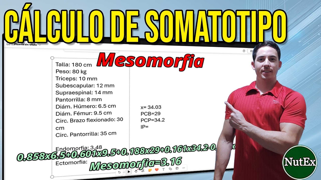 CALCULA EL SOMATOTIPO FÁCIL Y RÁPIDO | TUTORIAS DE NUTRICIÓN