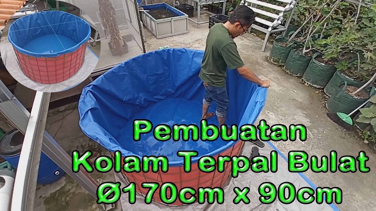 Pembuatan Kolam Terpal Bulat Ø170cm x 90cm