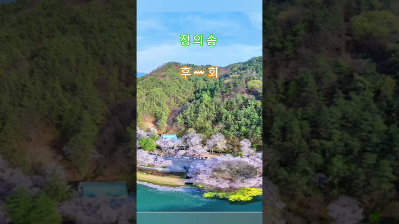 #후회 #정의송
