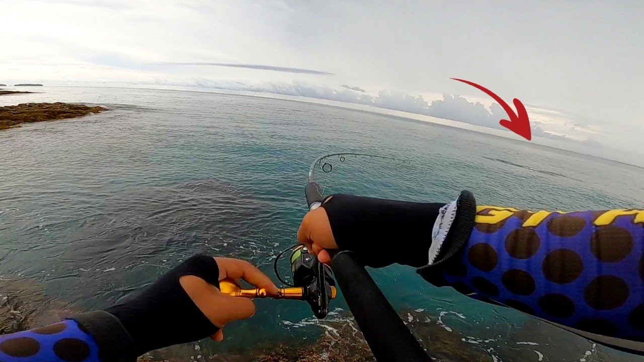 Mancing ikan tenggiri besar dari pinggir pantai || Light Popping