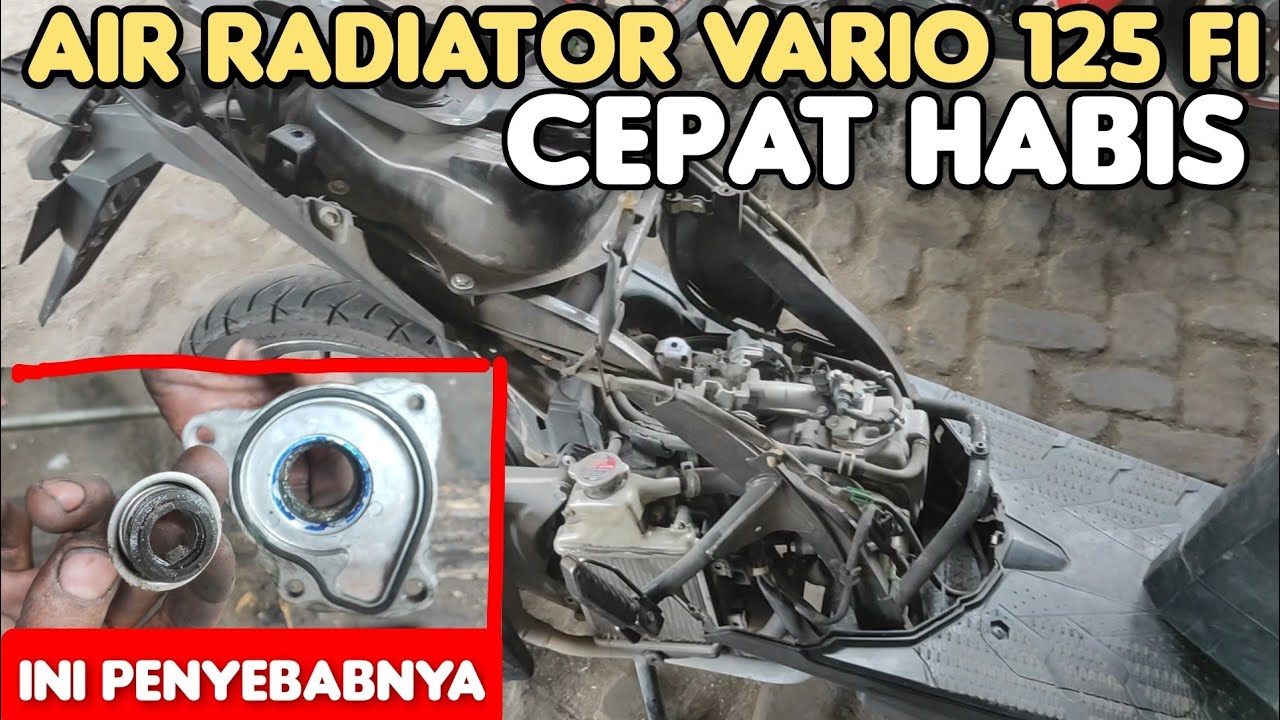 Air radiator vario 125 cepat habis? ini penyebabnya..