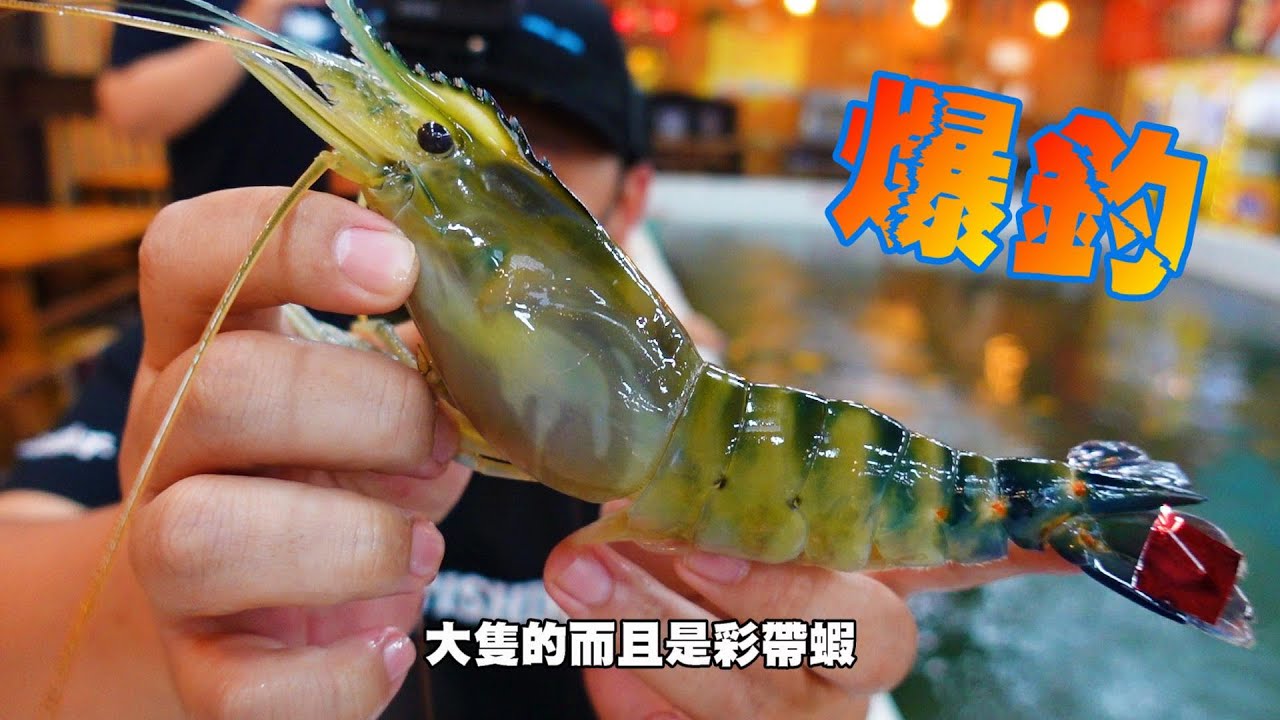 教學綁一個阿波釣組去釣蝦!沒想到彩帶蝦!雙勾不斷入手!簡直不要太舒服!一品釣蝦場