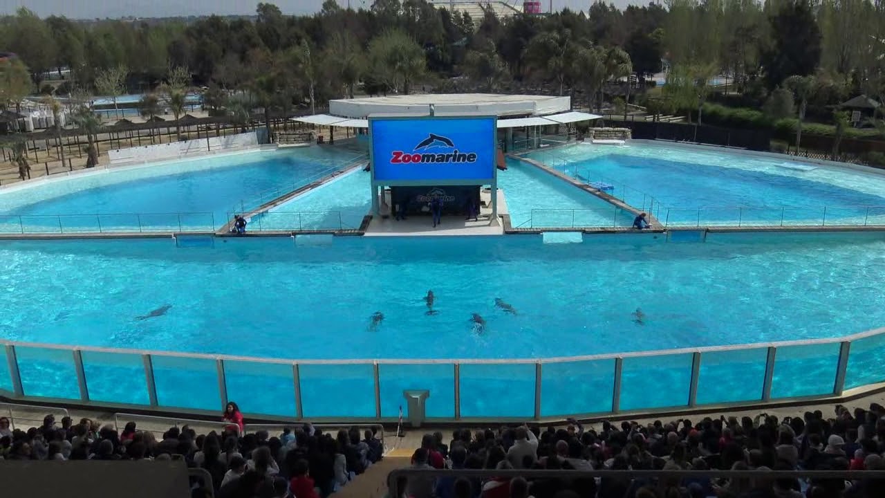 ZOOMARINE / ISOLA DEI DELFINI