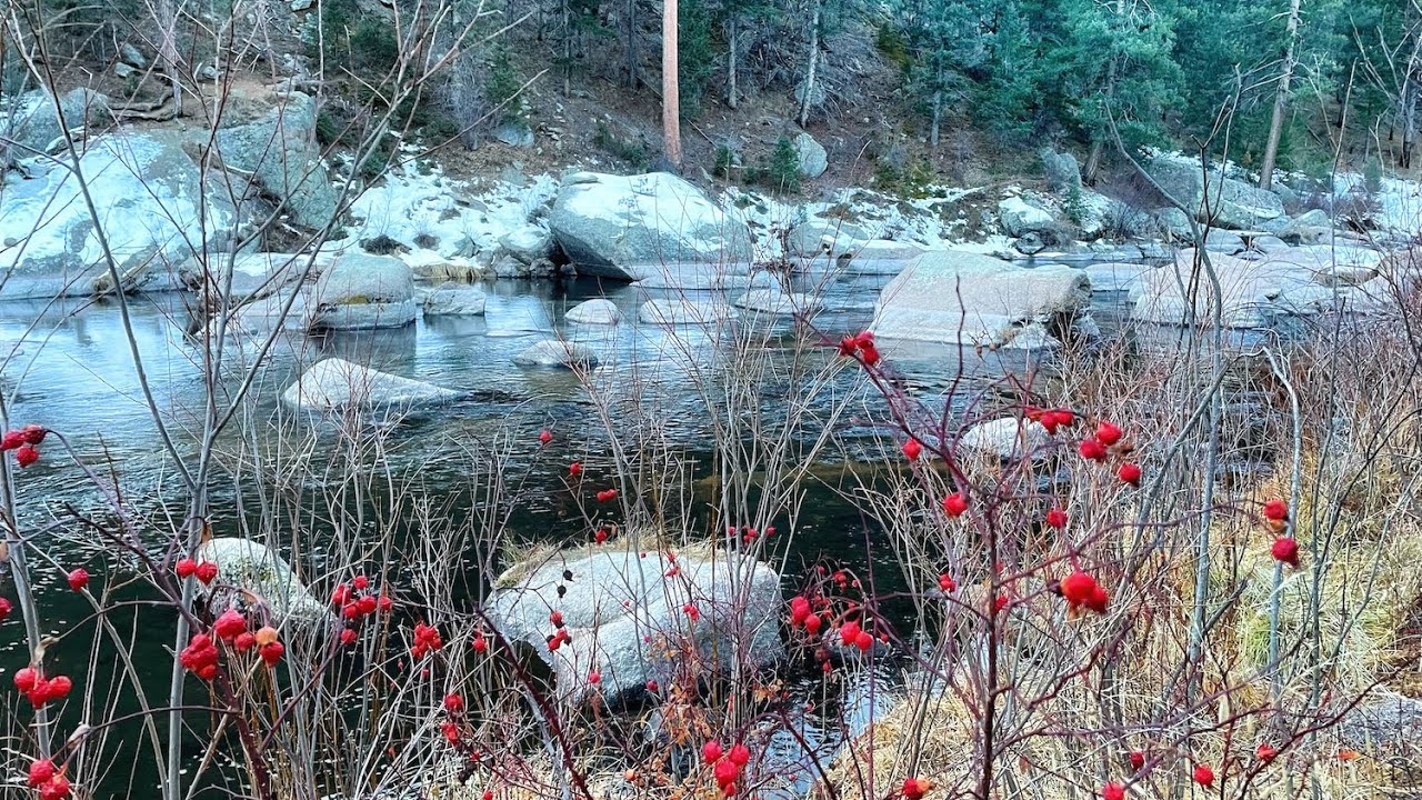 Fantastic First Fish Of 2025 | Winter Grind In A Beautiful Colorado Canyon