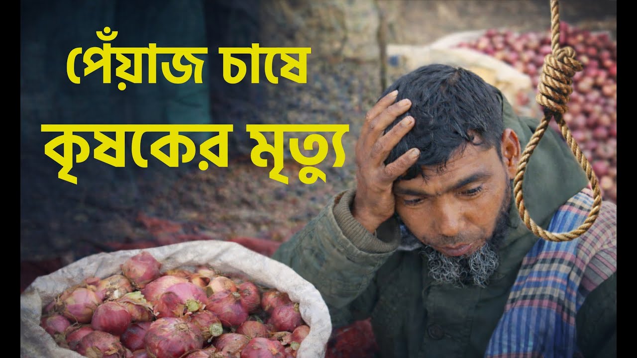 পেঁয়াজ চাষে লস, ঋণের চাপে আত্মহত্যা।  একজন চাষীর না বলা গল্প।