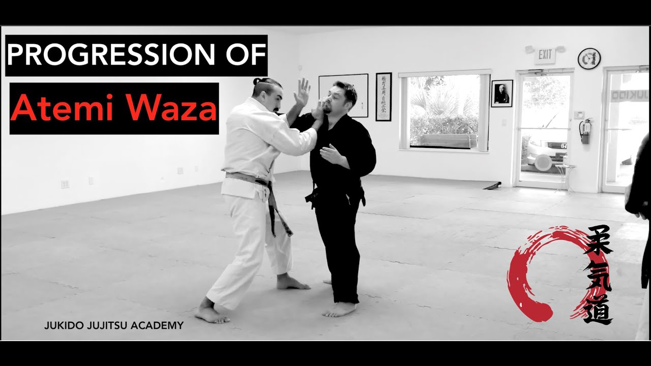 Atemi — Small Start to Big Finish | Jujutsu / Jujitsu Striking Method || JUKIDO JIU-JITSU
