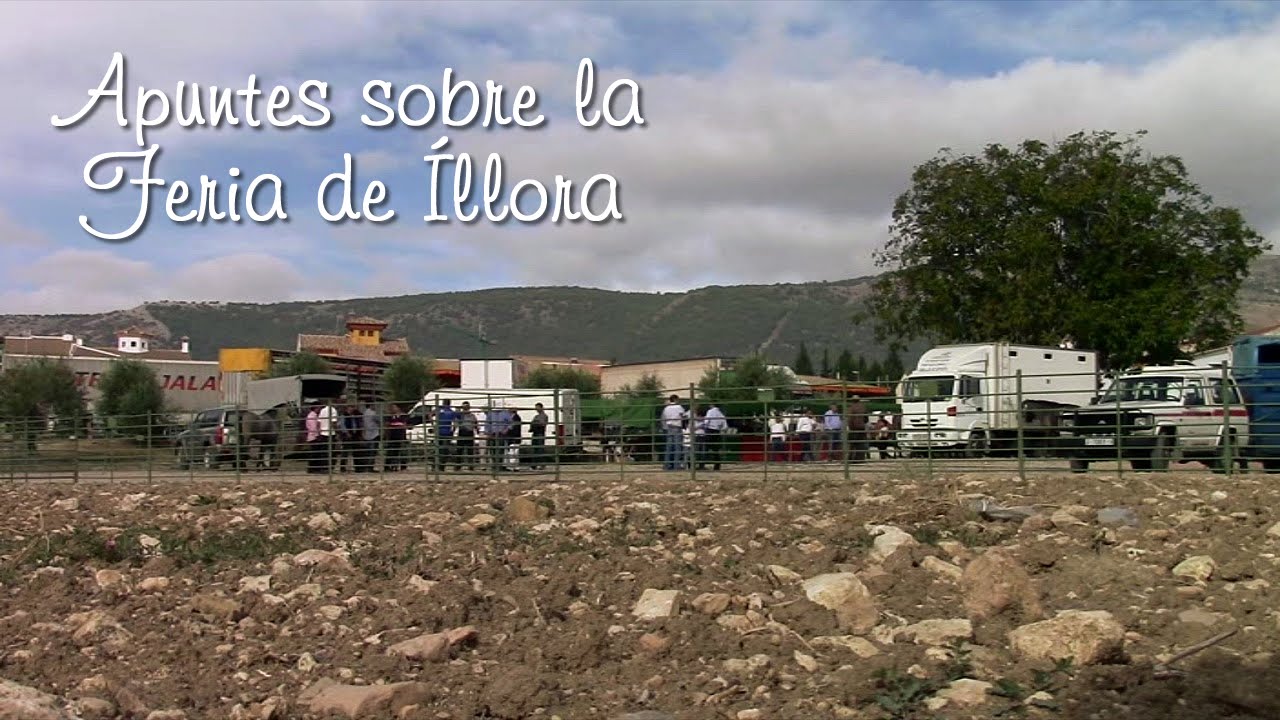 Apuntes sobre la Feria de Íllora
