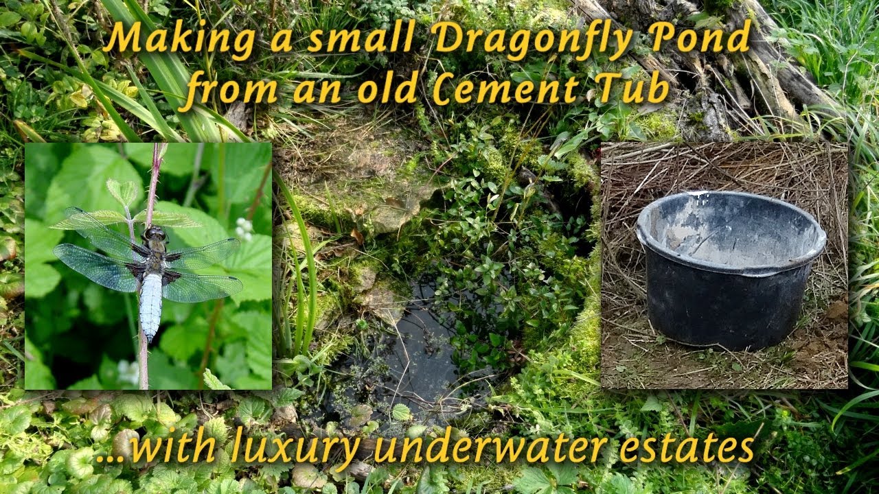 Making a small Dragonfly Pond from an old Cement Tub