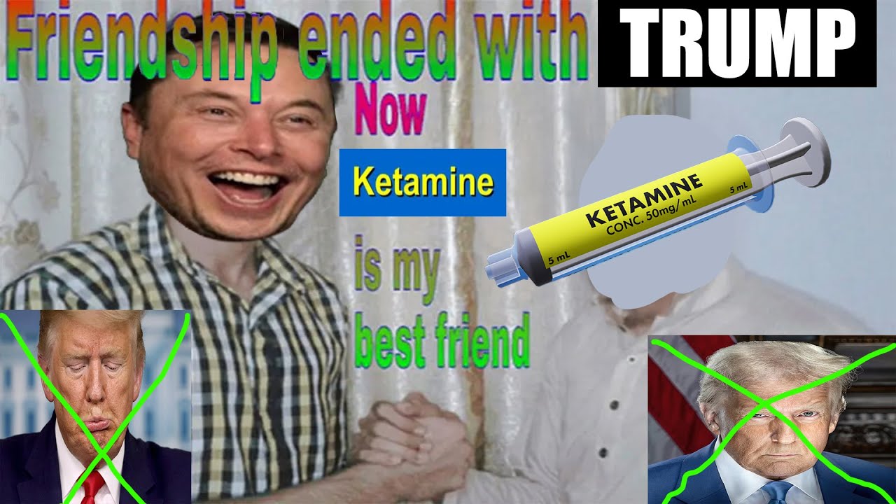 Elon Musk Crashed Out