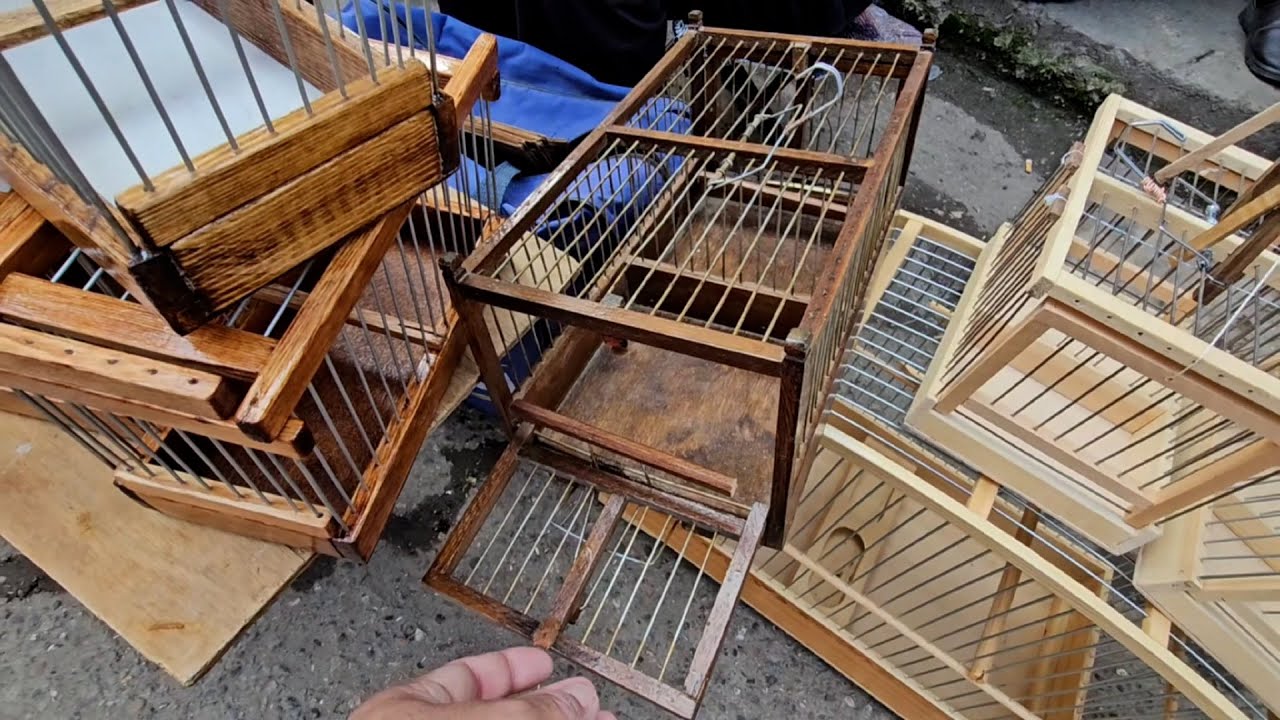 Тошкент қуш бозори: 15.03.2025