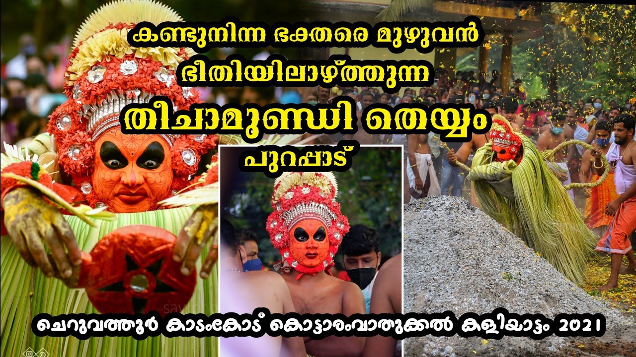 ആളിക്കത്തുന്ന തീക്കൂനയിലേക്ക് വീഴുന്ന തീചാമുണ്ഡി തെയ്യത്തെ കണ്ടിട്ടുണ്ടോ❣️🔥#theyyam  #Ottakkolam