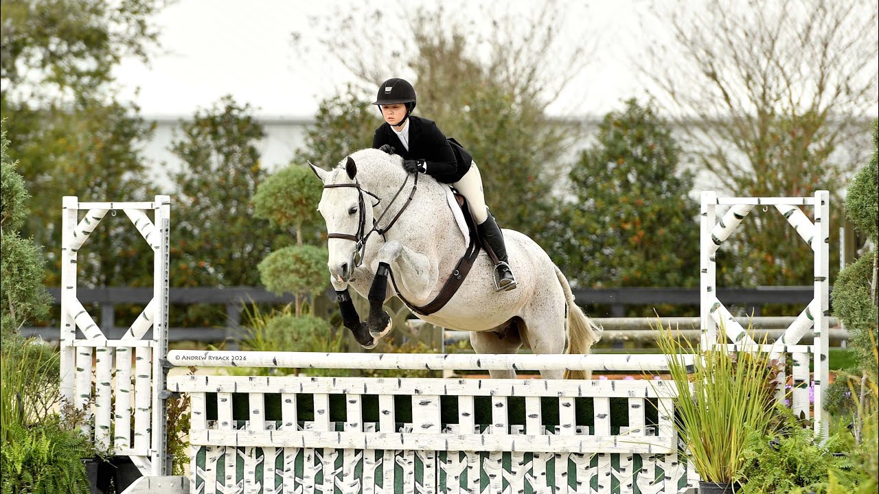 WEC ocala - 🥉 Huntseat medal - riding Endgame