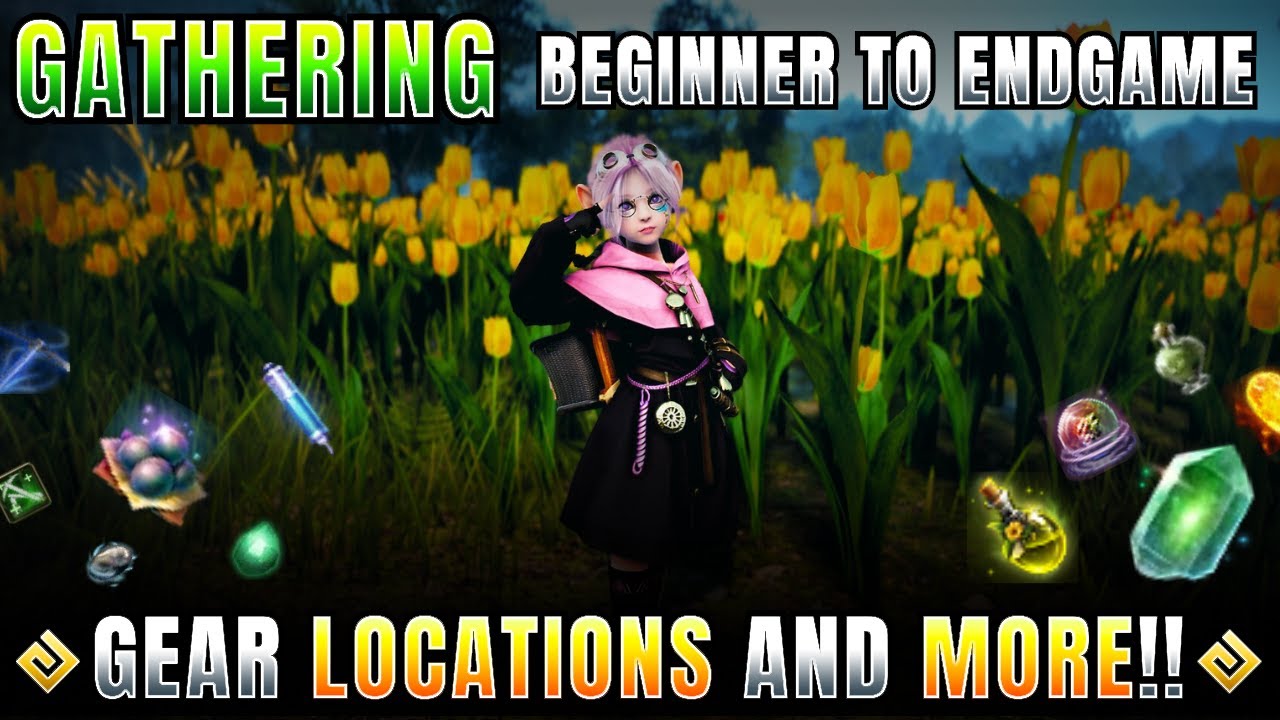 Everything You NEED to Gather in Black Desert Online