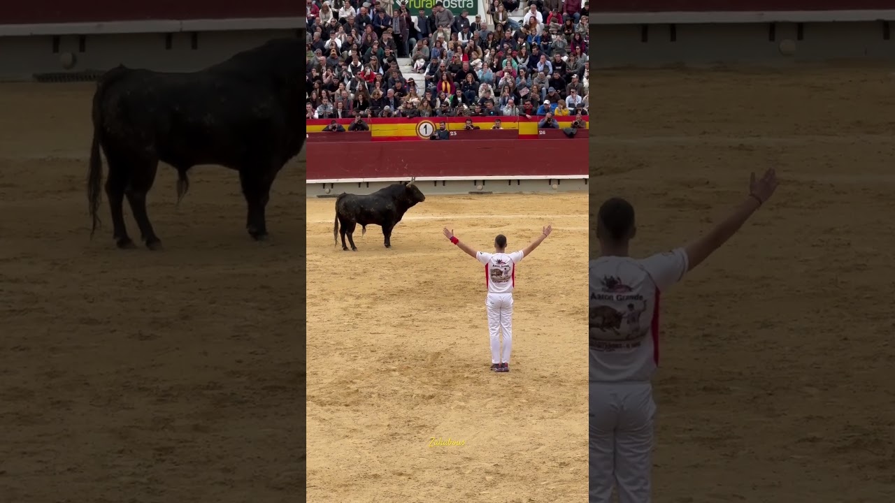 “Aron Grande” Quiebro en el concurso de recortes castellon 2024
