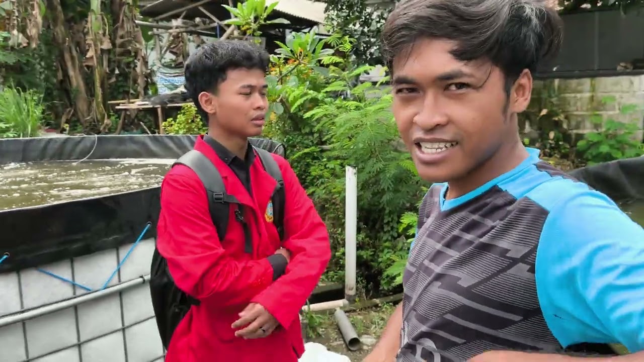 Kunjungan Edukasi dari AMIK Jombang ke Ulam Sejahtera 