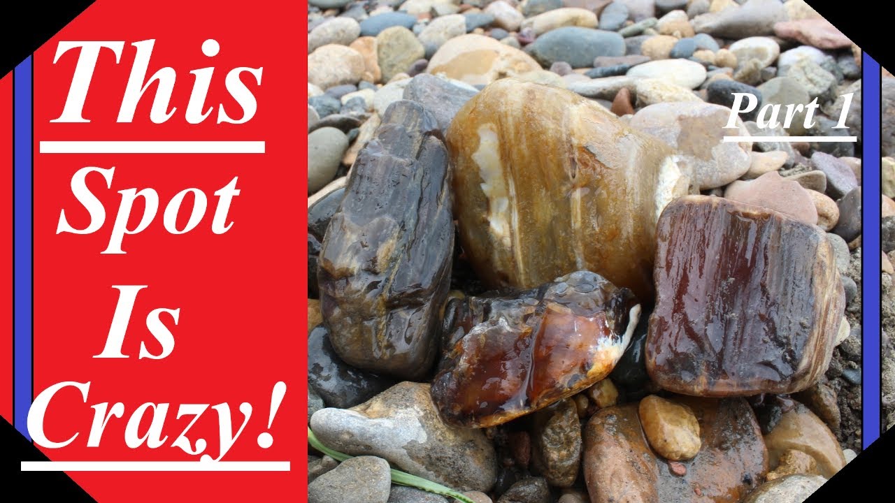 Amazing AGATES and AGATIZED WOOD Everywhere! This Spot is MADNESS! 9 POUND Agatized Wood! Part 1