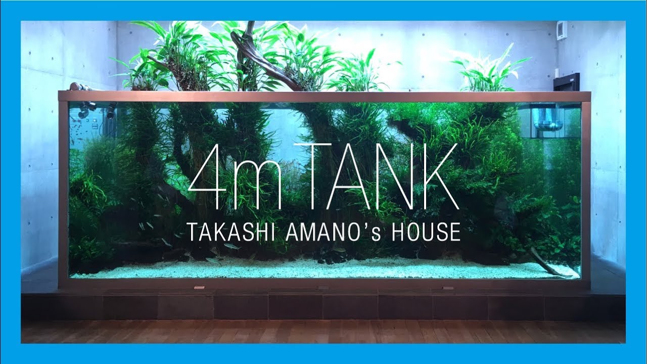 【TAKASHI AMANO's HOUSE 4mTANK】 天野尚邸 4m水槽