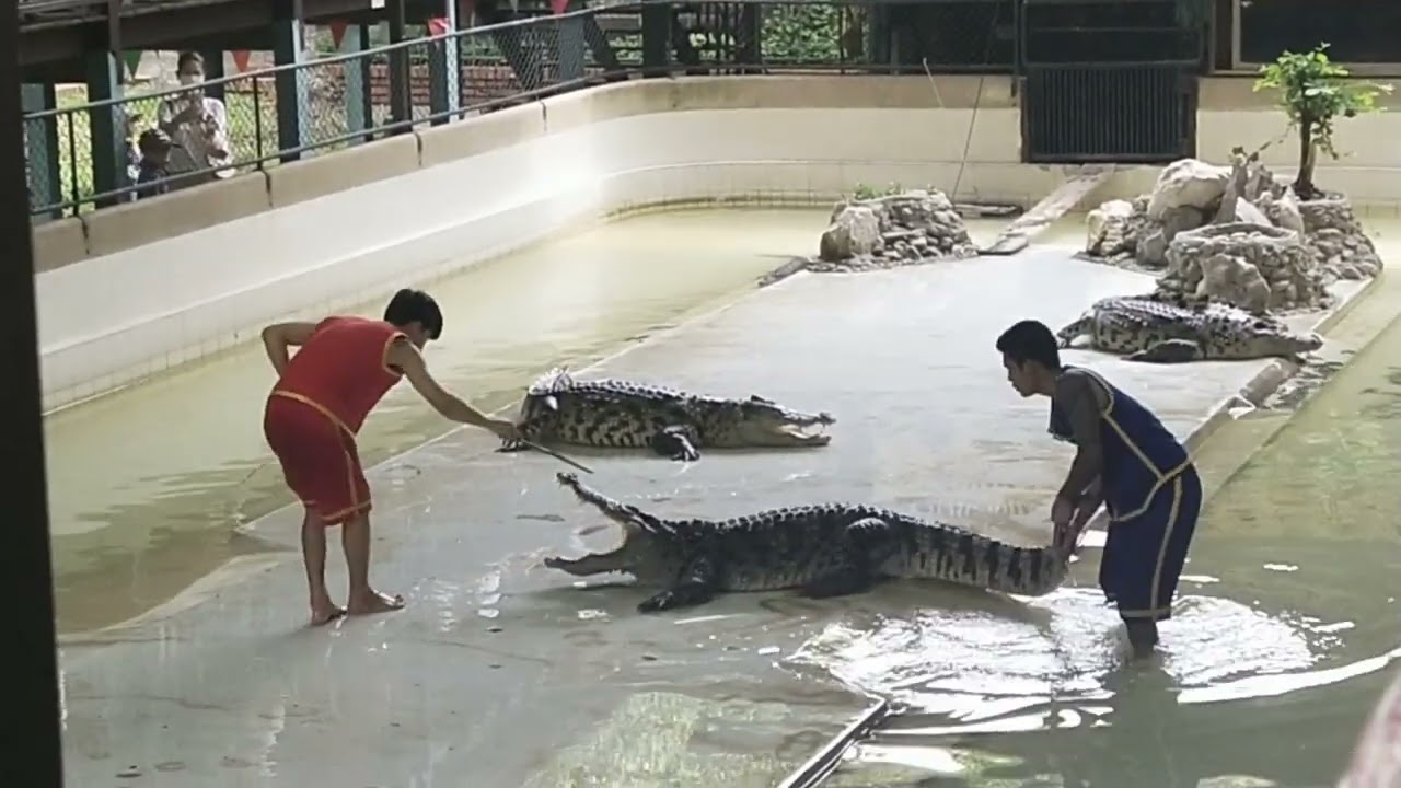 พี่ฟิวด์ น้องเพิ่มพูน พาเที่ยวฟาร์มจระเข้สามพรานกันจ้าาา😁