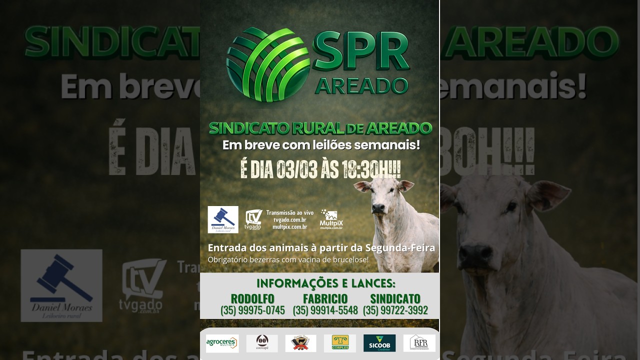 🎥 Leilão Presencial e Virtual Sindicato de Areado - 🎬 tvgado.com.br