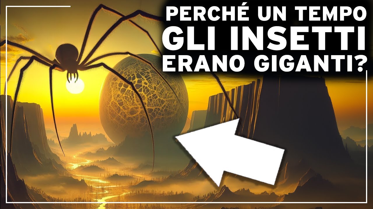 Com'era la Terra nell'era degli insetti giganti? I più sorprendenti segreti preistorici Documentario