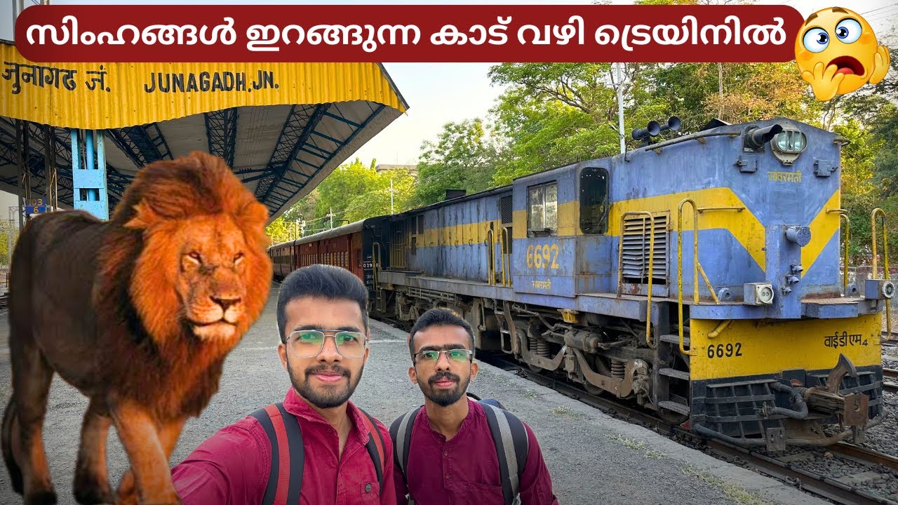 Junagadh to Delvada - Meter Gauge Train Full Journey | Train to Gir National Park