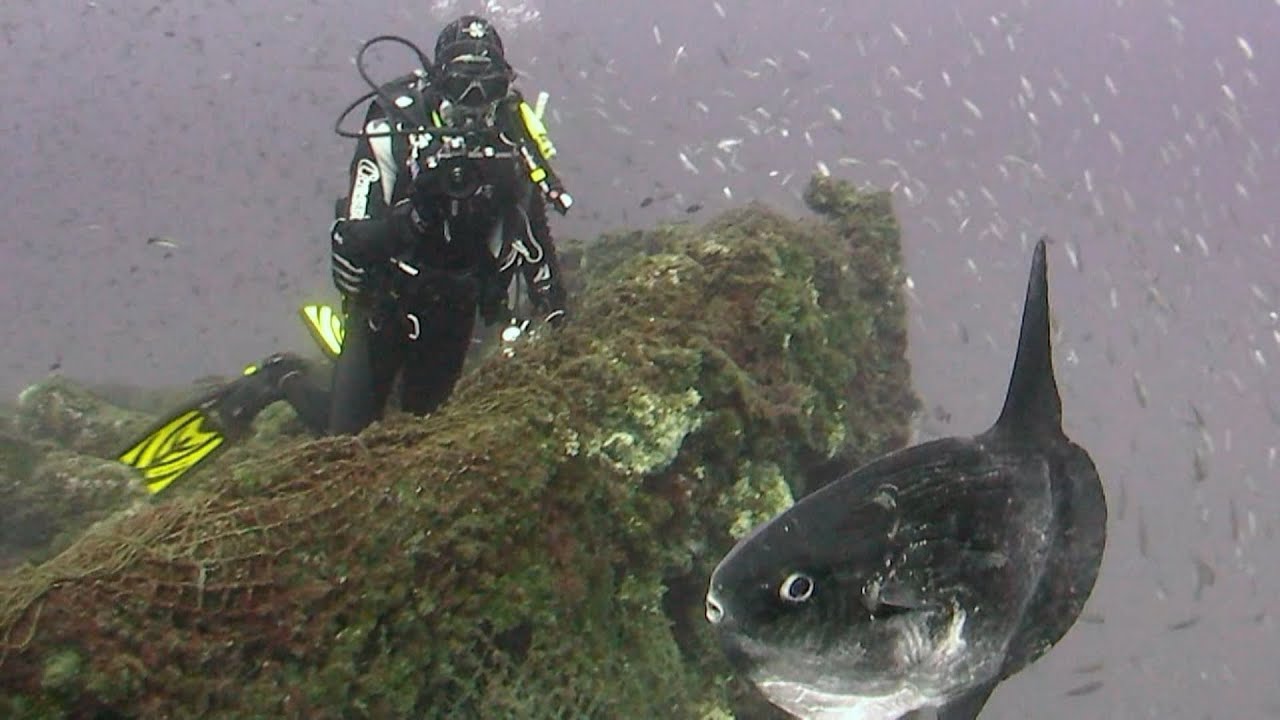 2011 Cabo de Palos