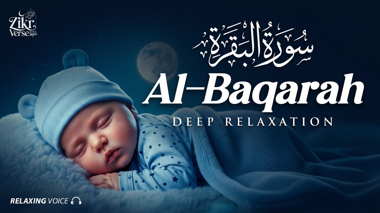 Relax Your Heart & Sleep Peacefully | Deep Healing Lofi Quran Recitation | Zikr Verse #lofiquran