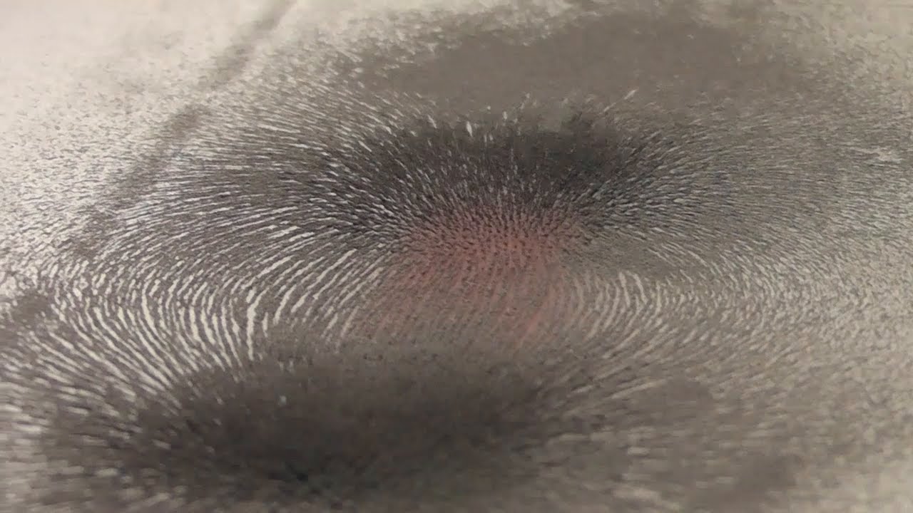 Magnetfeld sichtbar gemacht - Magnetfeldlinien