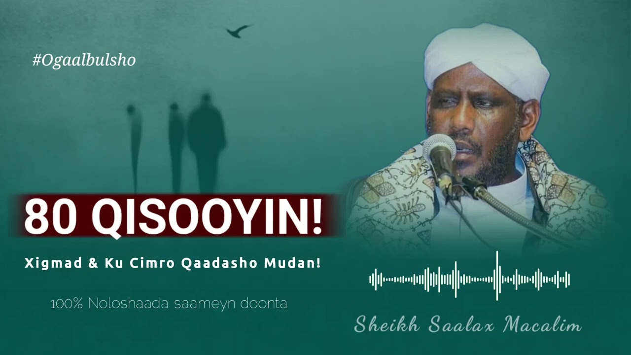80+ QISOOYIN Xigmad iyo Ku Cibro Qaadasho Mudan || Sheekh Saalax Macalim #Qisooyin #Shsaalaxmacalim